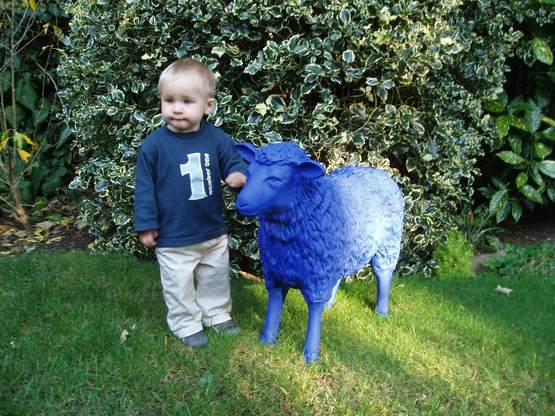 sohn nuMMer eins und ein von drei blauen schafen bei oma und opa